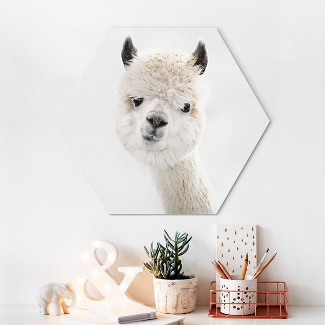 Decorazioni camera neonato Ritratto di alpaca
