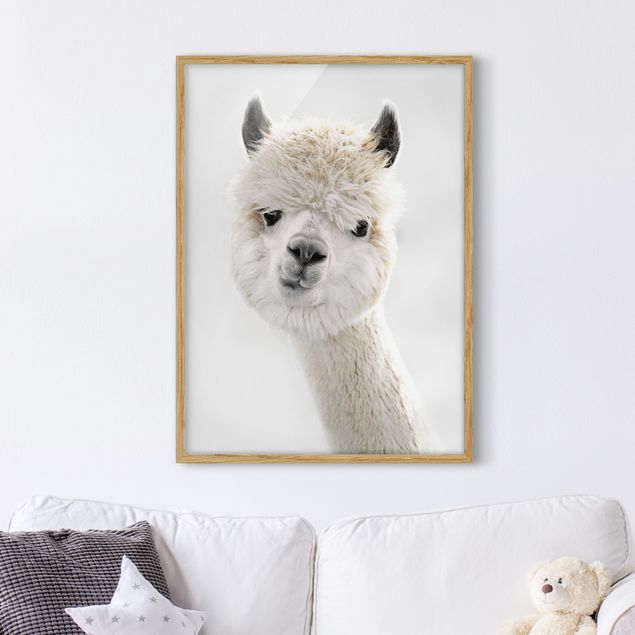 Decorazioni cameretta Ritratto di alpaca