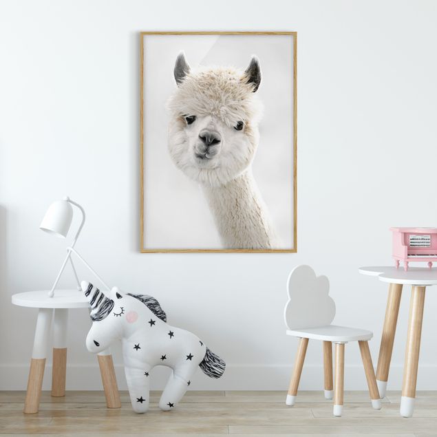 Quadri moderni   Ritratto di alpaca