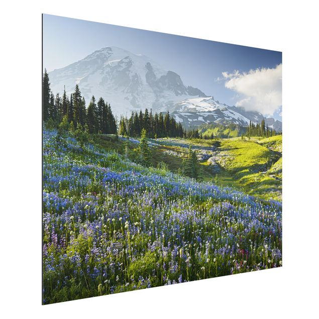 Quadro paesaggio Prato di montagna con fiori blu davanti al monte Rainier