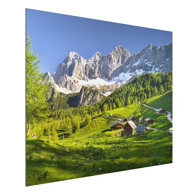 Quadri paesaggistici Prato alpino della Stiria