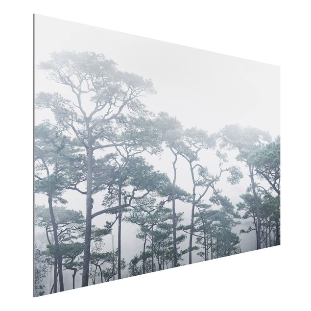 Quadro paesaggio Cime degli alberi nella nebbia