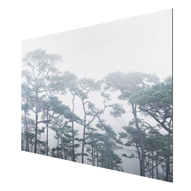 Quadri moderni   Cime degli alberi nella nebbia