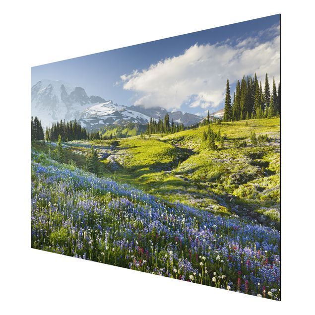 Quadri montagna Prato di montagna con fiori blu davanti al monte Rainier