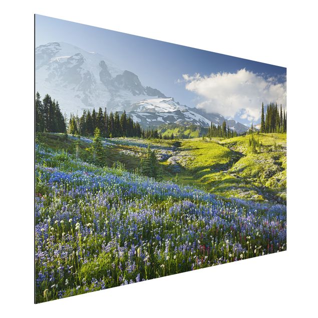Quadro paesaggio Prato di montagna con fiori blu davanti al monte Rainier