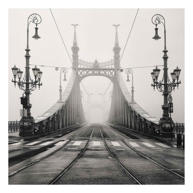 Quadri in bianco e nero Ponte a Budapest