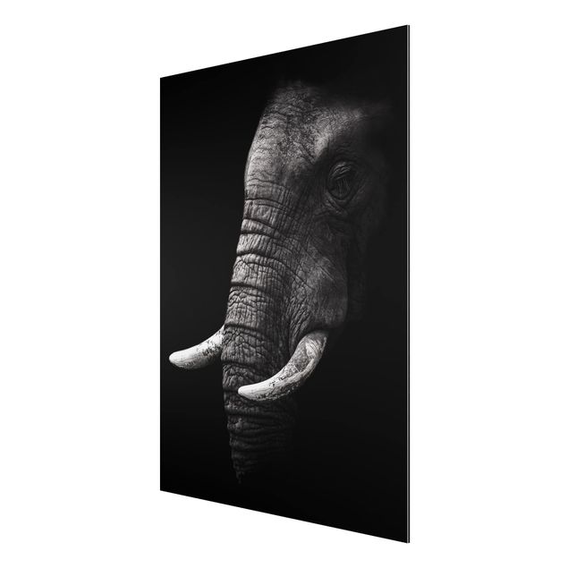 Quadro con elefante Ritratto di elefante scuro