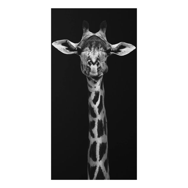 Quadri Africa Ritratto di giraffa scura