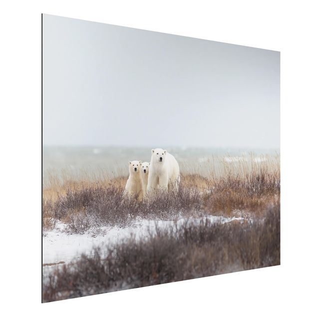 Quadri moderni per arredamento Orso polare e i suoi cuccioli