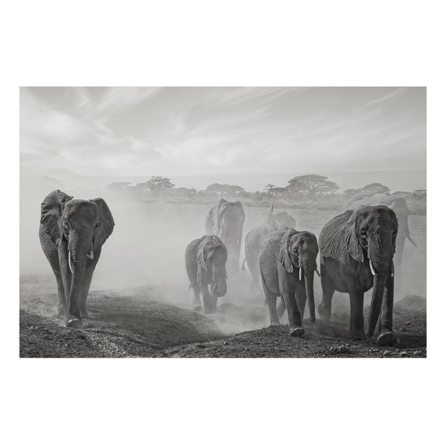 Quadri paesaggistici Branco di elefanti
