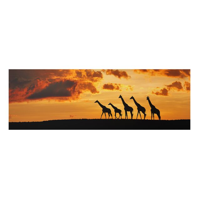 Quadri paesaggistici Cinque giraffe