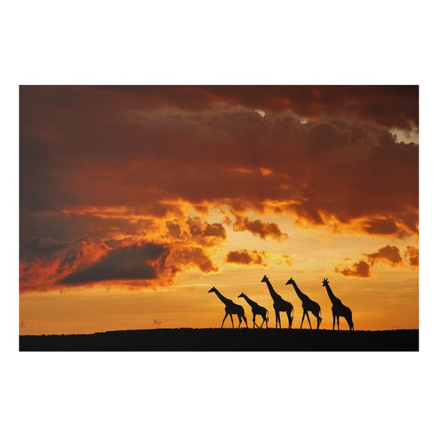 Quadri paesaggistici Cinque giraffe