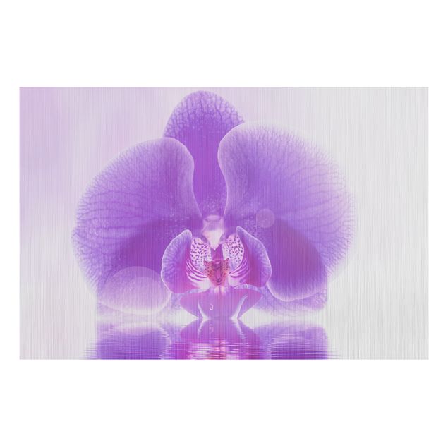 Quadri moderni per arredamento Orchidea viola sull'acqua
