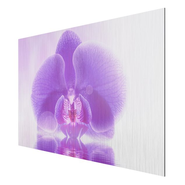 Quadri di fiori Orchidea viola sull'acqua
