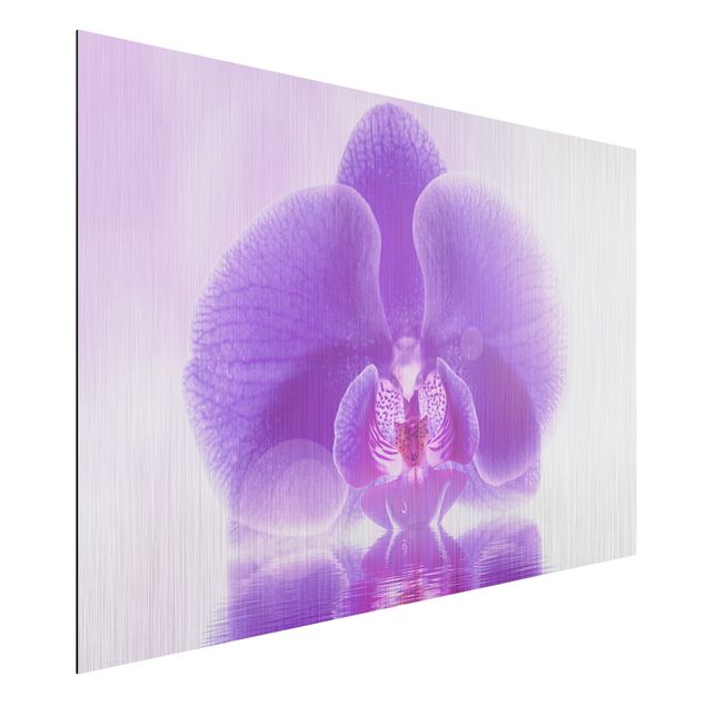 Quadri orchidee Orchidea viola sull'acqua
