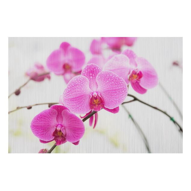 Quadri moderni per arredamento Orchidea ravvicinata