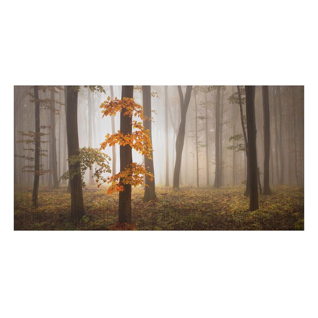 Quadro alberi Foresta di novembre