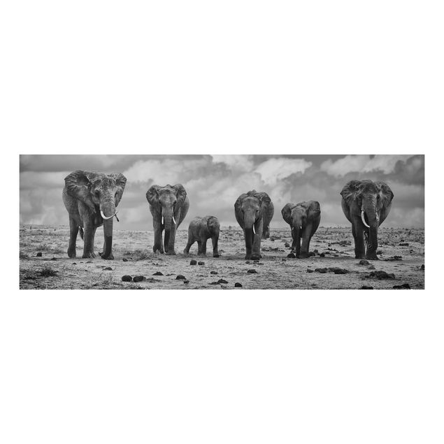 Quadro con elefante Famiglia numerosa
