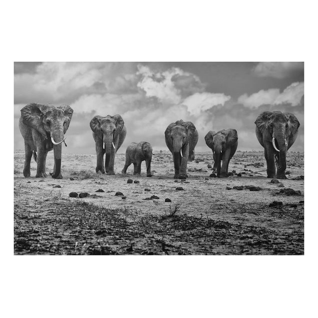 Quadro con elefante Famiglia numerosa