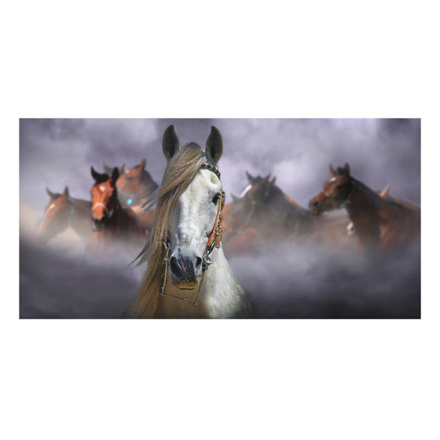 Quadri moderni   Cavalli nella polvere