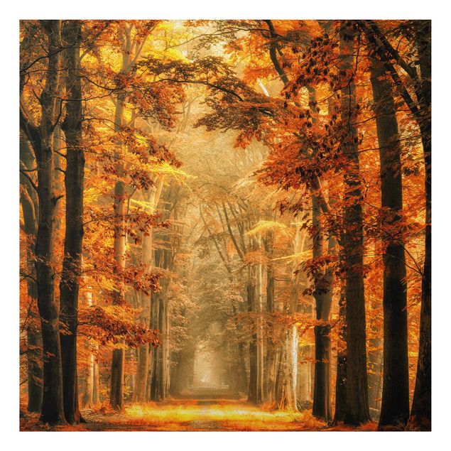 Quadri alberi Foresta incantata in autunno