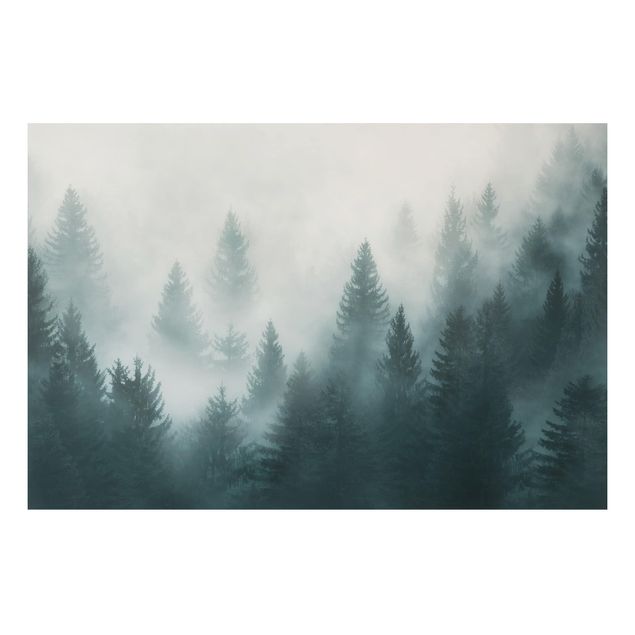 Quadri con alberi Foresta di conifere nella nebbia