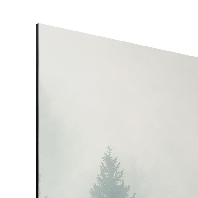 Quadri stampe Foresta di conifere nella nebbia