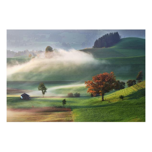 Quadri con paesaggio Giornata autunnale nebbiosa in Svizzera
