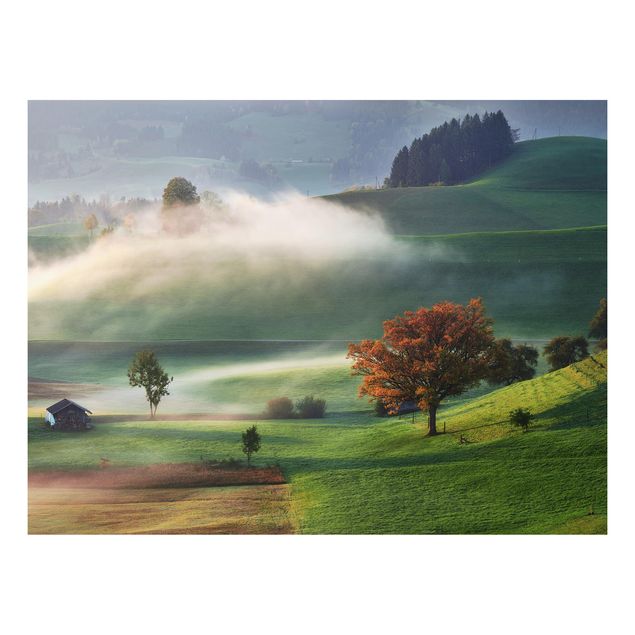 Quadri con paesaggio Giornata autunnale nebbiosa in Svizzera