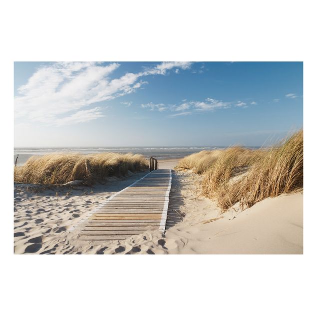 Quadro paesaggio Spiaggia del Mar Baltico