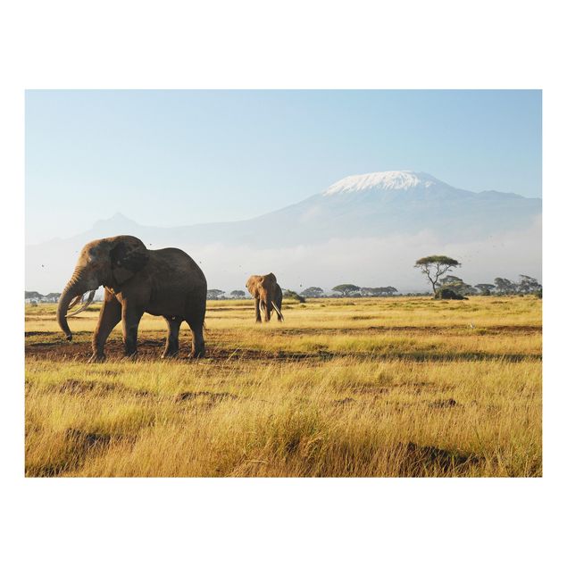 Quadri paesaggistici Elefanti di fronte al Kilimangiaro in Kenya