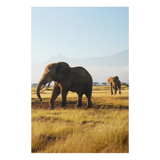 Quadri paesaggistici Elefanti di fronte al Kilimangiaro in Kenya
