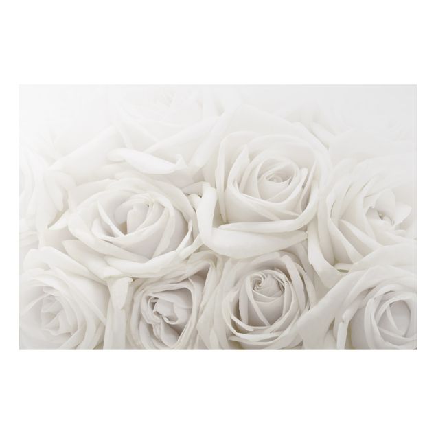 Quadro amore Rose bianche