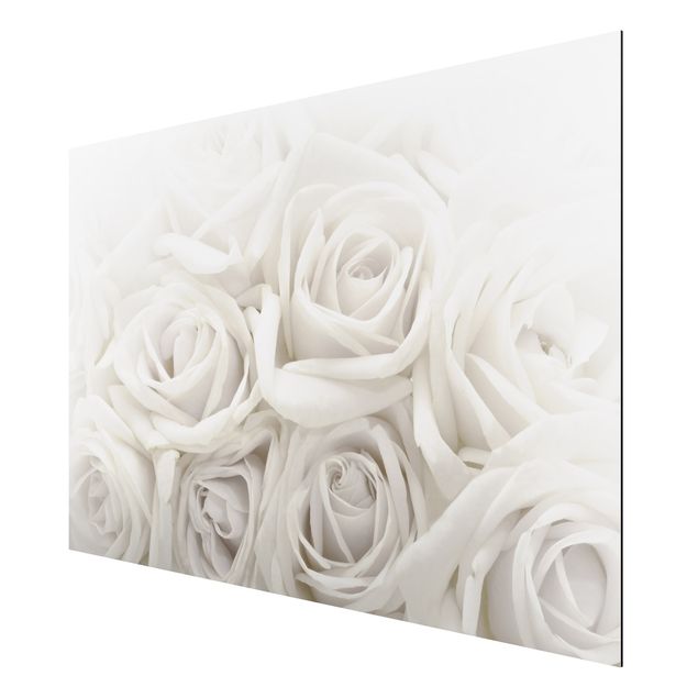 Quadri fiori Rose bianche