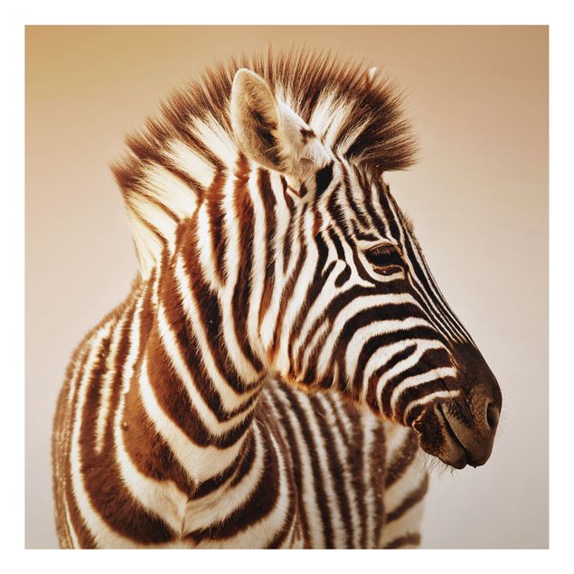 Quadri con zebre Ritratto di piccola zebra