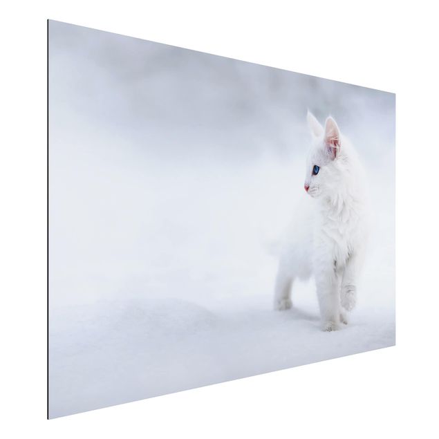 Quadri con gatti Bianco come la neve