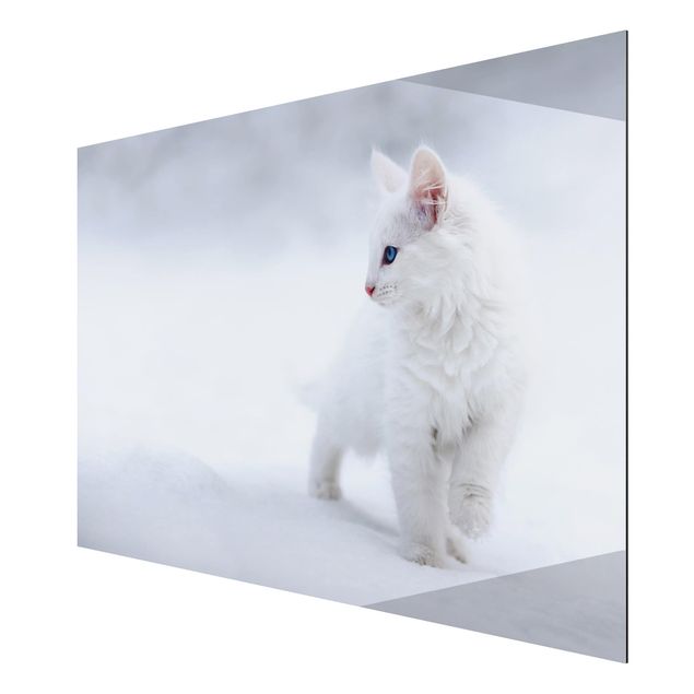 Quadri animali Bianco come la neve
