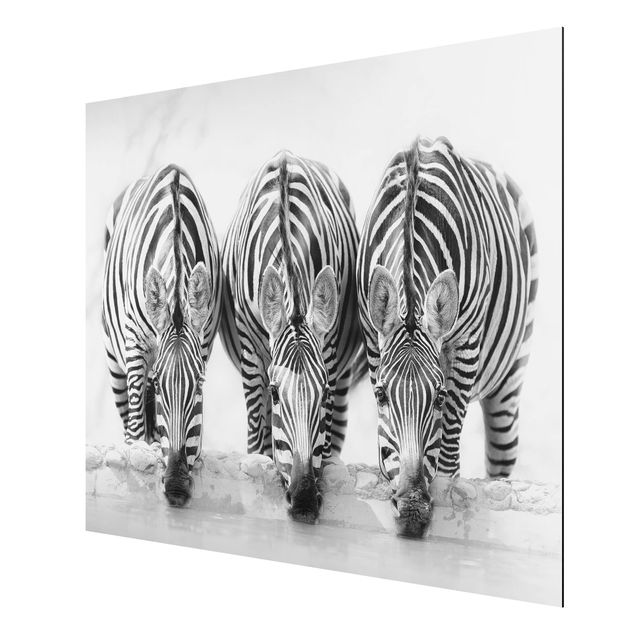Quadri in bianco e nero Trio di zebre in bianco e nero