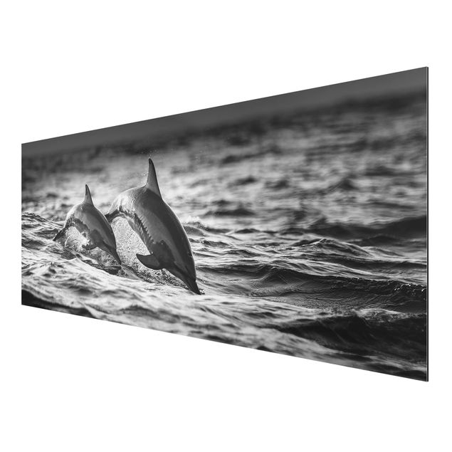 Quadri in bianco e nero Due delfini che saltano