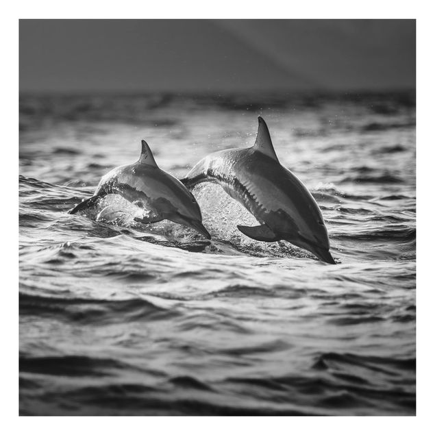 Quadri con pesci Due delfini che saltano