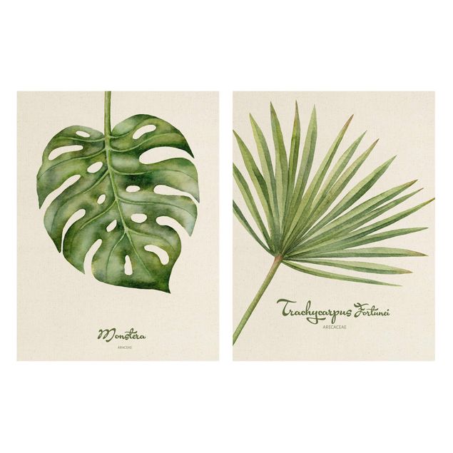 Quadri verdi Duo di botaniche ad acquerello