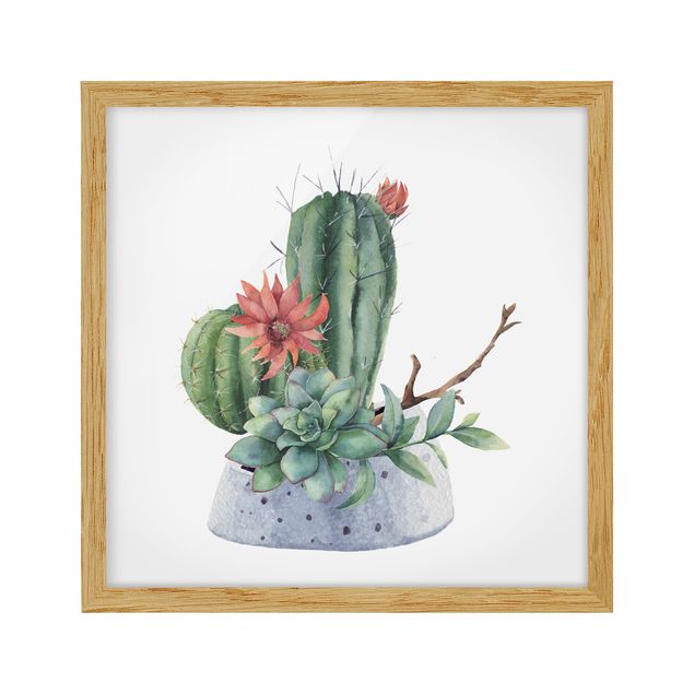Quadri verdi Illustrazione di cactus ad acquerello