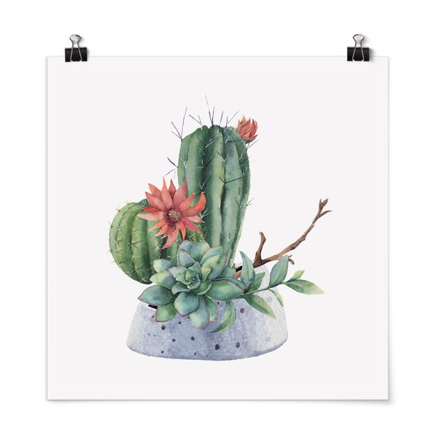 Quadro verde Illustrazione di cactus ad acquerello