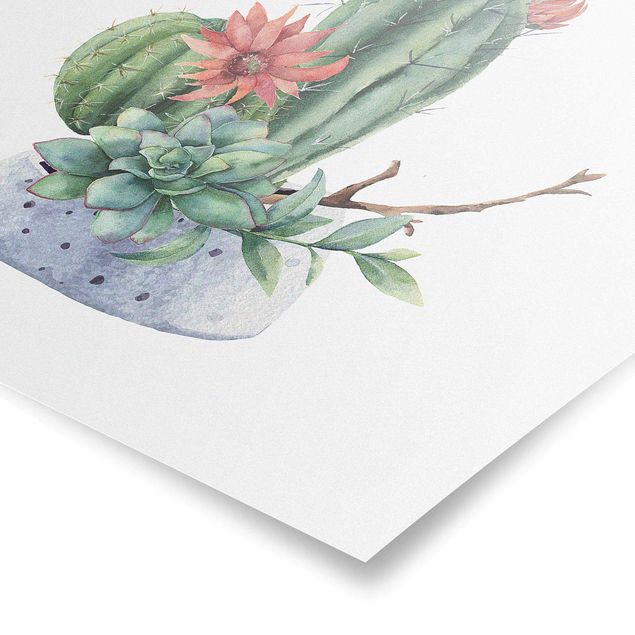 Quadri Illustrazione di cactus ad acquerello