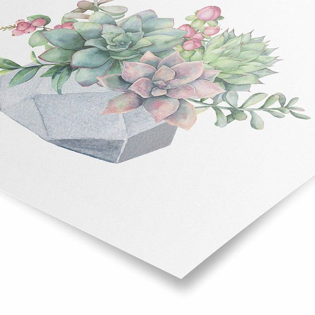 Stampe Illustrazione di Succulente ad acquerello