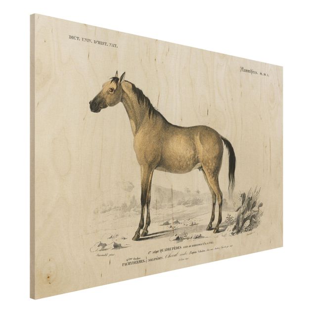 Quadri in legno vintage Bacheca Vintage Cavallo