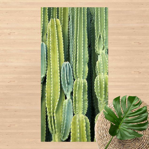 tappeto passatoia Muro di cactus