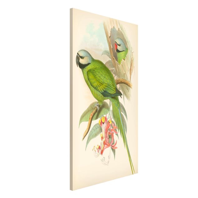 Lavagne magnetiche con fiori Illustrazione vintage Uccelli tropicali II