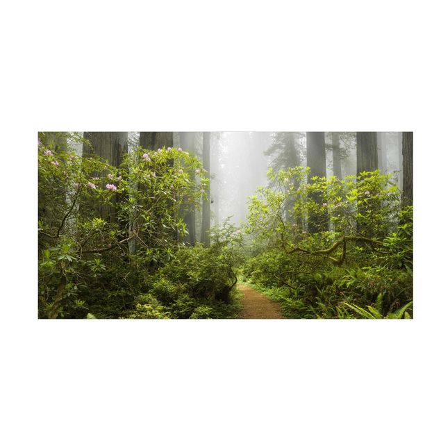 tappeto verde Sentiero della foresta nebbiosa