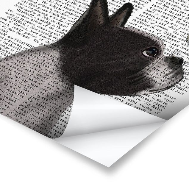 Stampe Lettura con animali - Terrier con ghiaccio